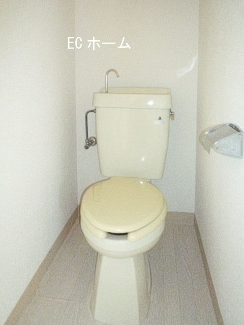 Toilet. Hot water with cleaning