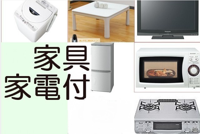 Other Equipment. Furnished consumer electronics (TV ・ refrigerator ・ Washing machine ・ range ・ Gas stove ・ Kotatsu