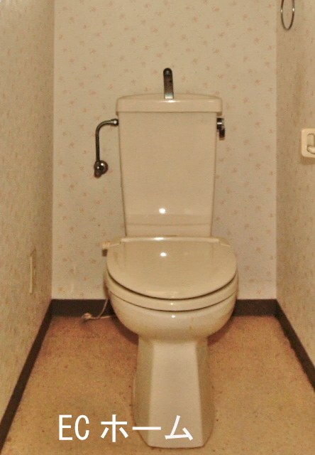 Toilet. With heating toilet seat
