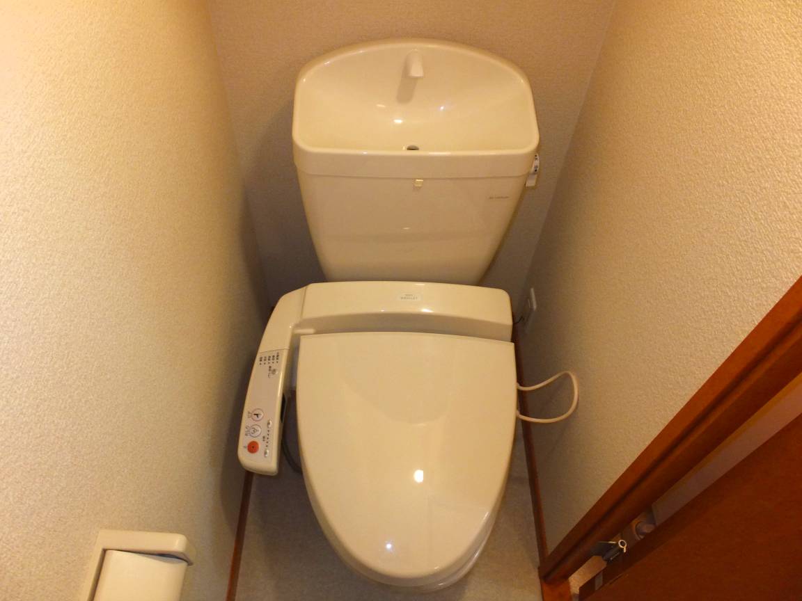 Toilet. Warm water washing toilet seat
