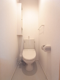 Toilet. Cleaning function with toilet seat ・ Yes storage rack