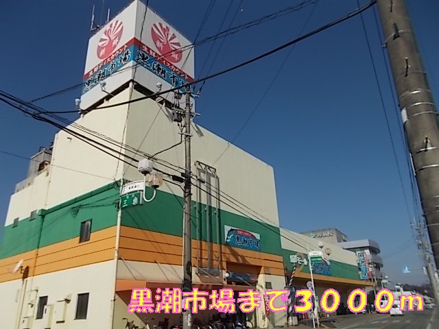 Supermarket. 3000m until the Kuroshio market (super)