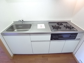 Kitchen. System Kitchen ^^ of a three-necked gas stove with grill