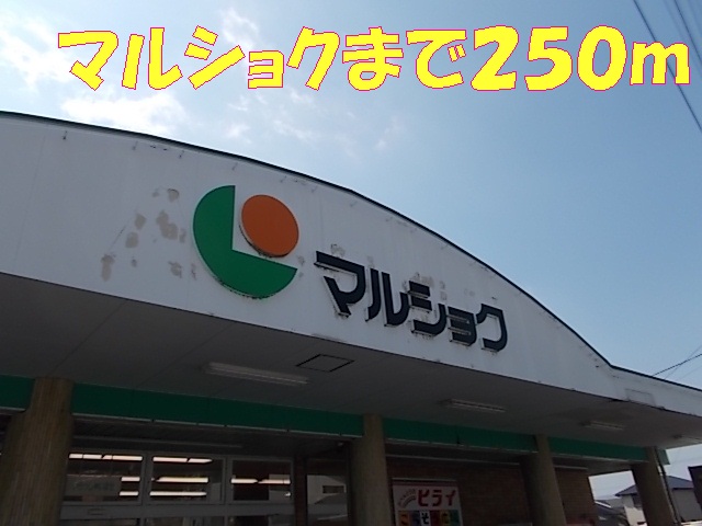 Supermarket. 250m until Marushoku (super)
