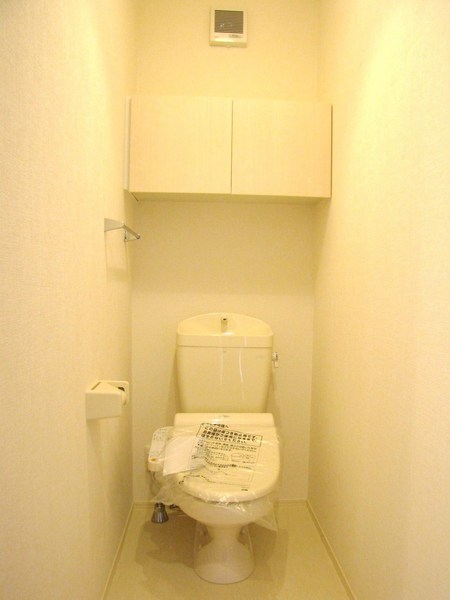 Toilet. Isomorphic type