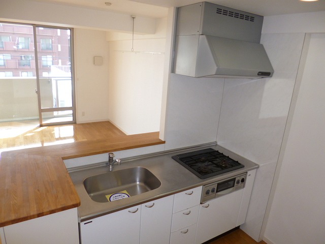 Kitchen. 3-neck with gas stove (city gas use)