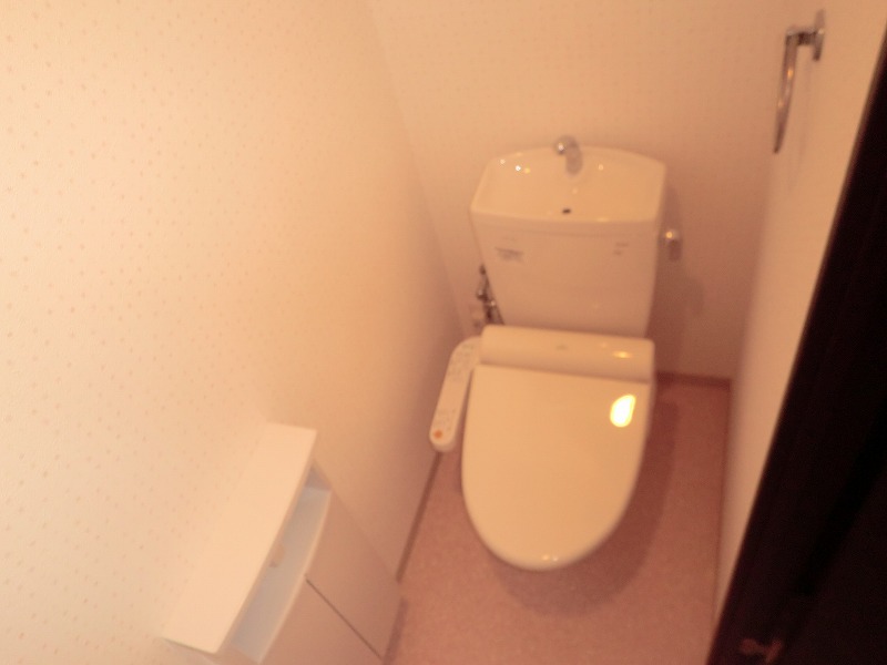 Toilet.  ※ Photos will give priority to the current state in another one in Room.