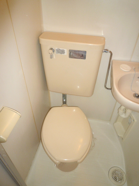 Other. It is a toilet with a clean ☆