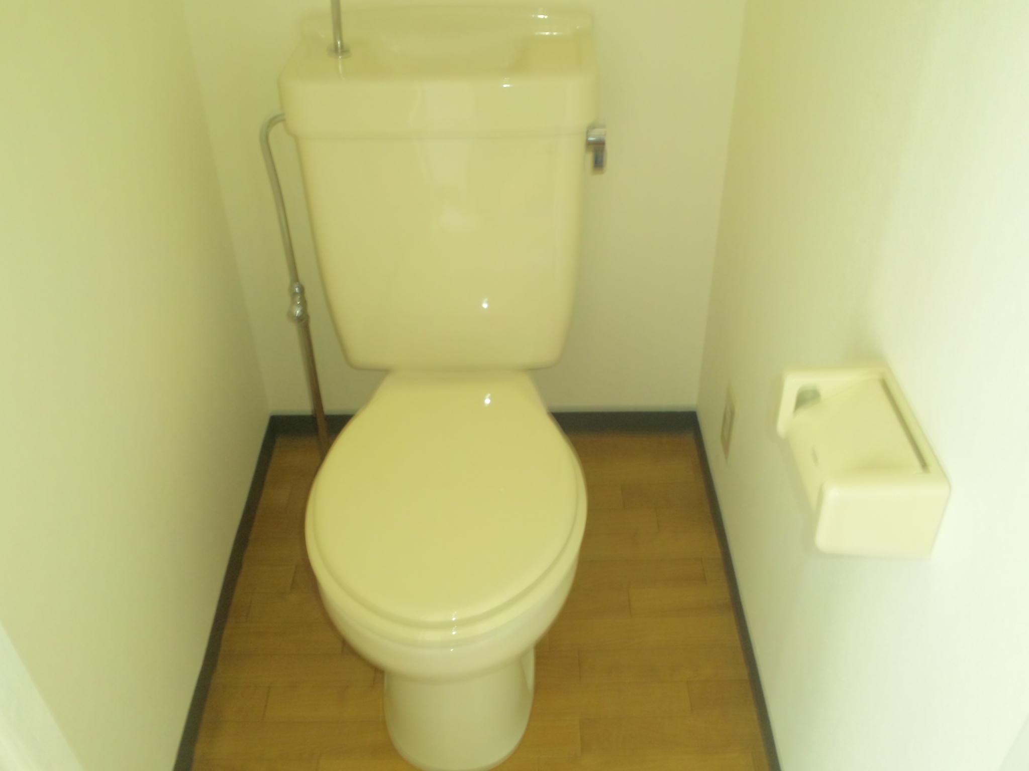 Toilet