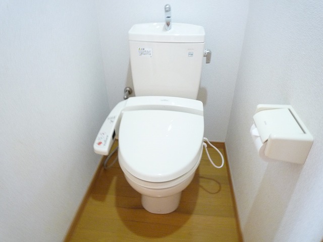 Toilet. Happy with Washlet.