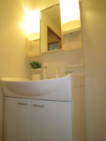 Washroom. With shampoo dresser