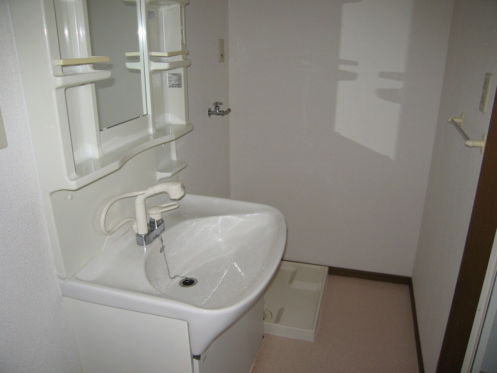 Washroom. Shower with Dresser