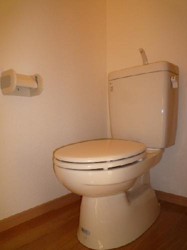 Toilet. Western-style toilet.