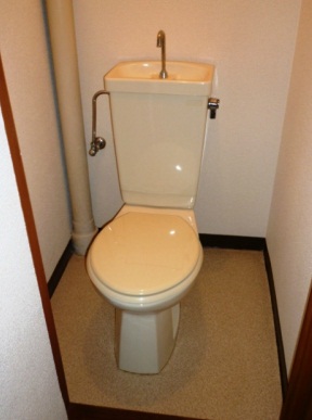 Toilet. Same type model