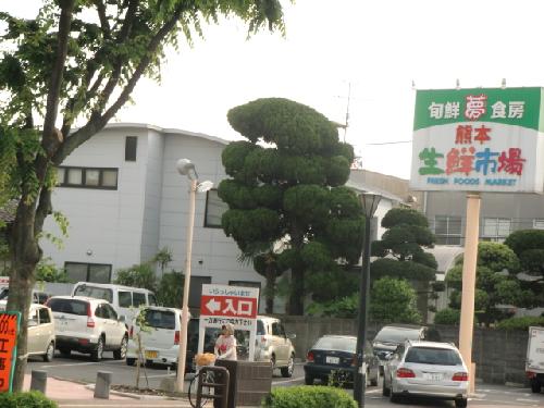 Supermarket. 300m to the fresh market (super)