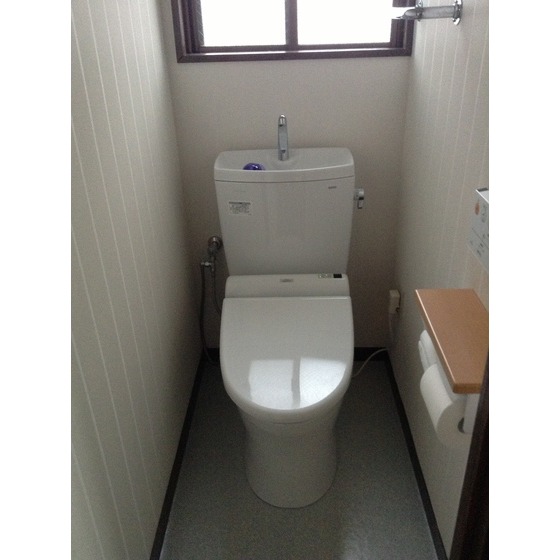Toilet. Toilet is a new article !!