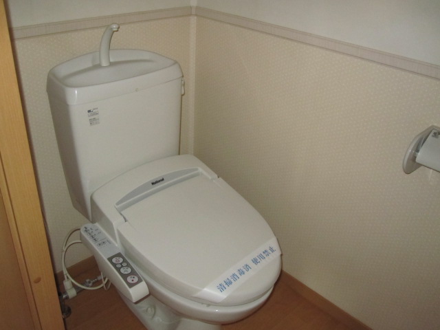 Toilet. Commonplace Washlet