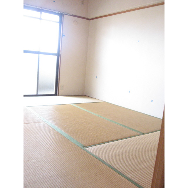 Other room space. Japanese style room