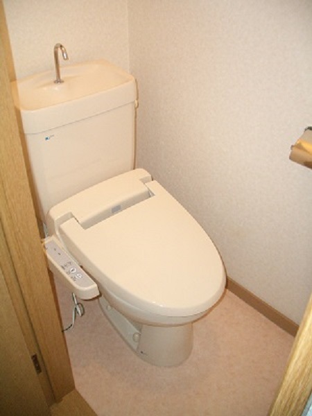 Toilet. With warm water washing toilet seat