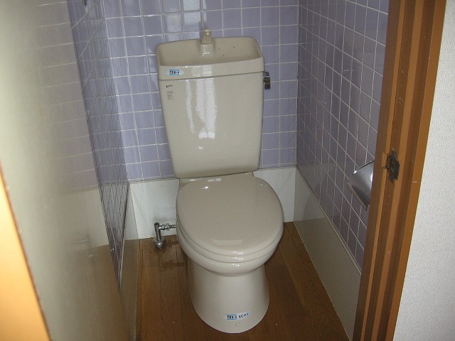 Toilet. Tiled western style toilet.