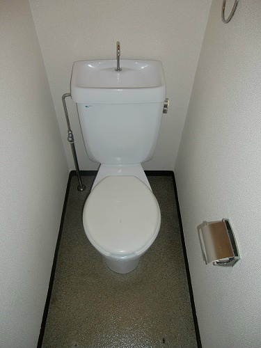 Other. A clean toilet ☆