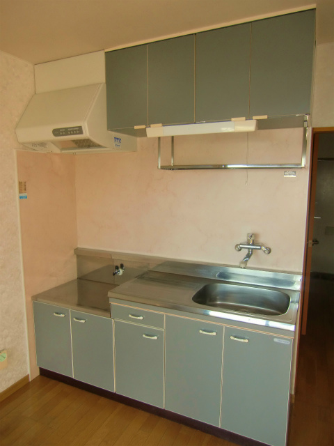 Kitchen. It has become a two-burner gas stove installation Allowed spacious kitchen !!