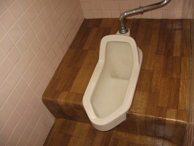 Toilet. Although toilet of Japanese style, The floor of the wood is fashionable