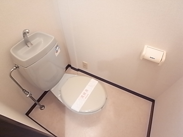 Toilet. Toilet