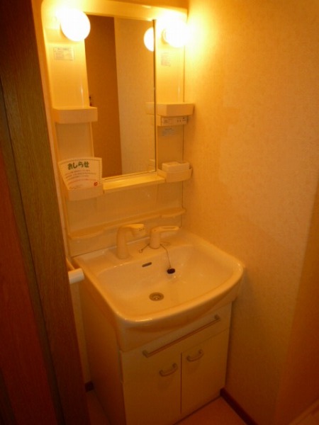 Washroom. There is a shower with a wash basin in the dressing room!