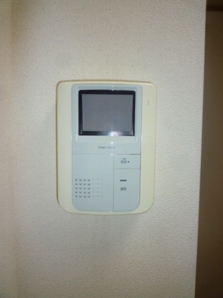 Other. This is an automatic lock apartment with monitor!