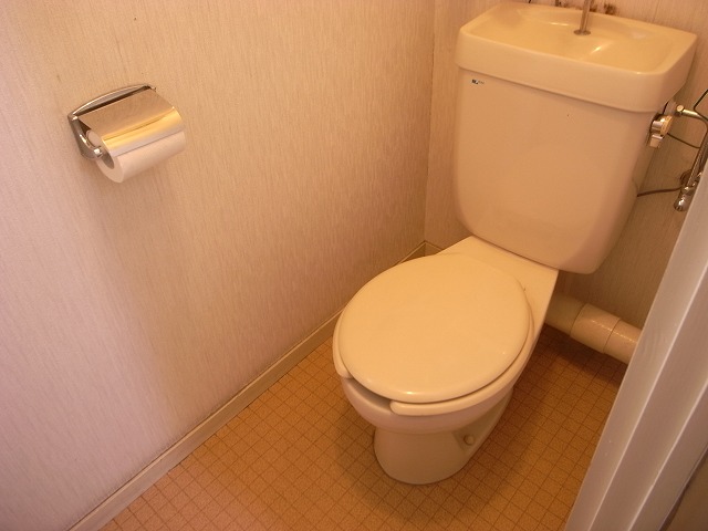 Toilet. Western-style toilet ventilation is sufficient also attached window