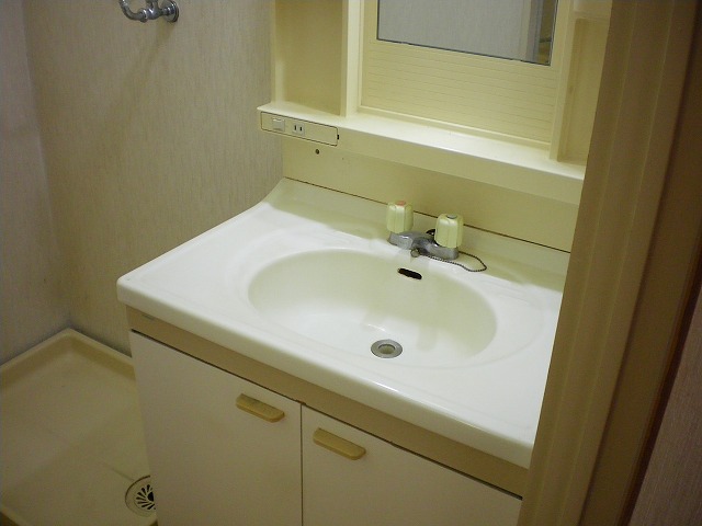 Washroom. Wash basin is also equipped widely small Shed also water park