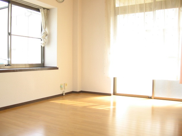 Living and room. Two-sided lighting is a large bay windows and a veranda side.