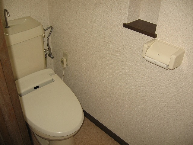 Toilet. The small shelf can be enjoyed at a such as fragrances and small plant