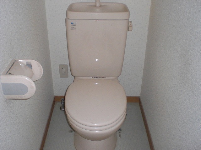 Toilet. Same type model
