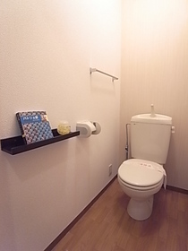 Toilet. A shelf that can be installed, such as books and deodorant was established.
