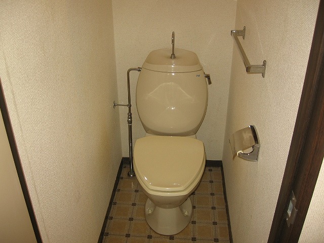Toilet. In there is a clear breadth, There are also over towel.