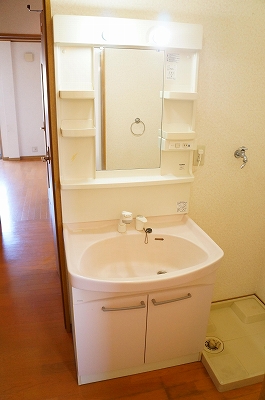 Washroom. Washbasin single lever