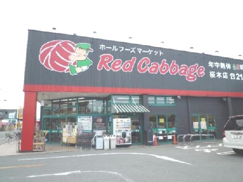 Other. If shopping! Red cabbage ☆