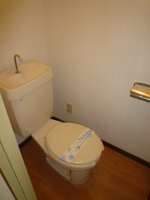 Other. It is a toilet with a clean ☆  ☆