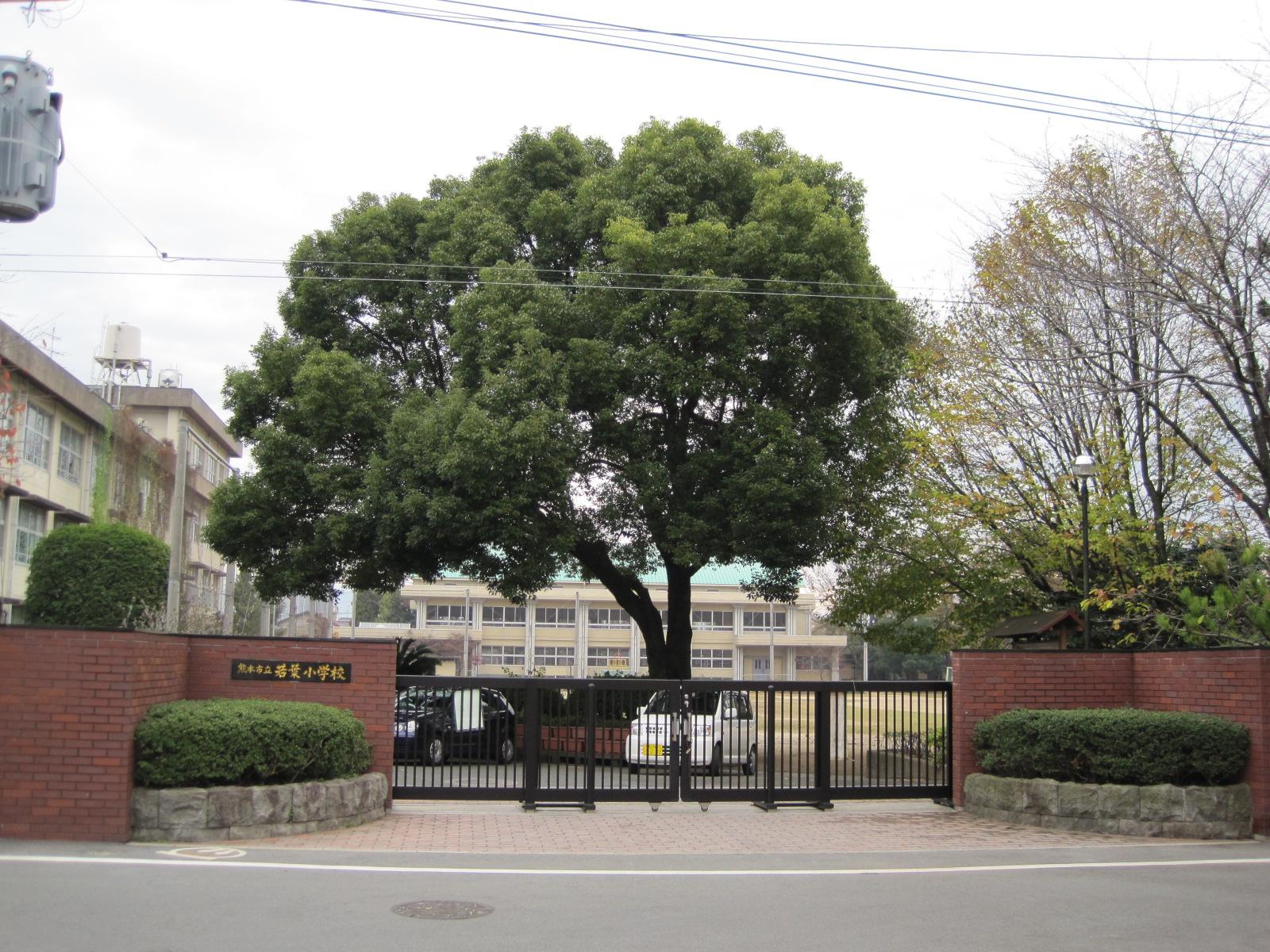 Primary school. 407m until the Kumamoto Municipal Wakaba Elementary School (elementary school)