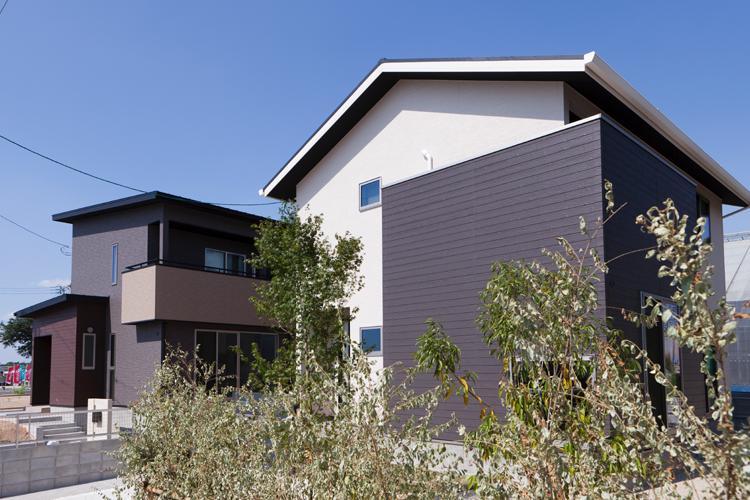 Local appearance photo. The three buildings model house of different types of is you can see is only now!