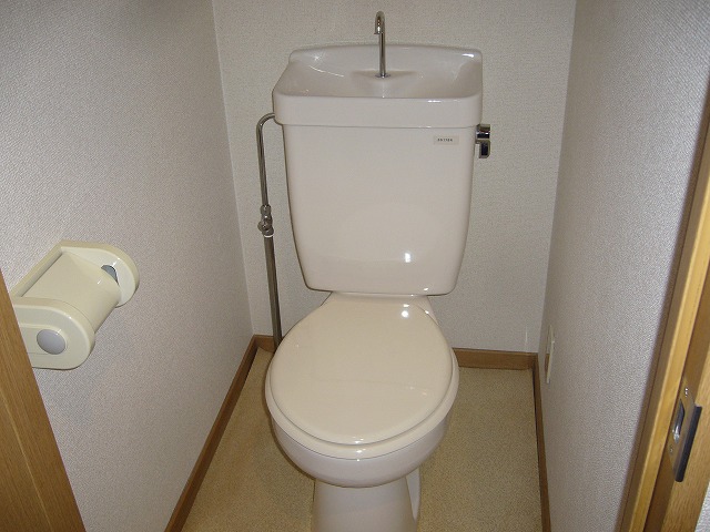 Toilet. Isomorphism