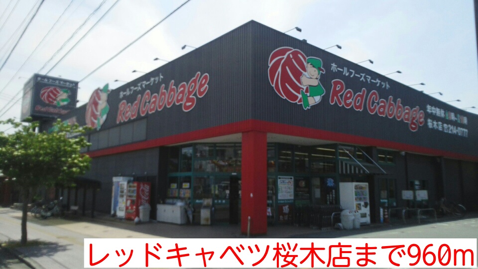 Other. 960m to Red cabbage Sakuragi shop (Other)