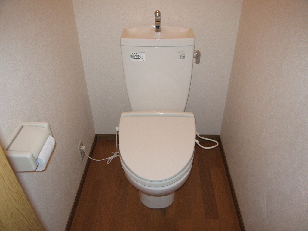 Toilet. Photograph is of the same type