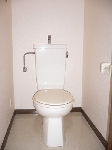 Toilet. Toilet