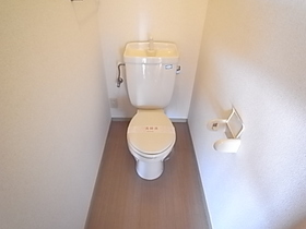 Toilet. It will be in the toilet with a wall outlet! !