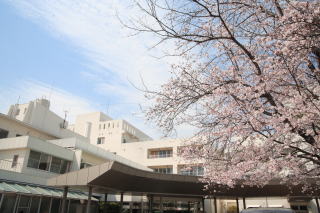Hospital. 205m until the medical corporation Murohara Board Kikunan Hospital (Hospital)