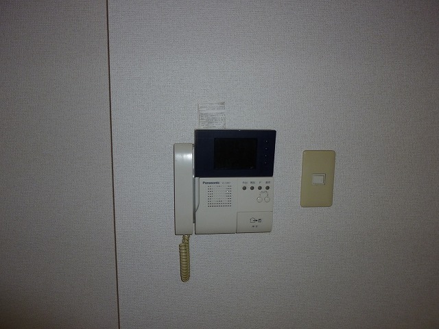 Security. TV intercom with