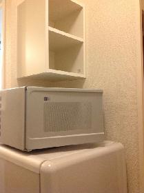 Other. refrigerator ・ microwave